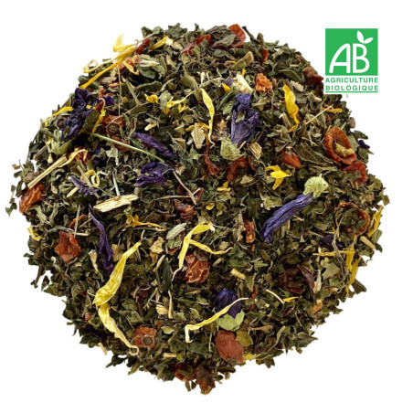 Tisane Boost en vrac - Grossiste The Bio
