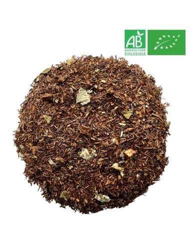 Rooibos Vanille Fraise Grossiste Rooibos Bio