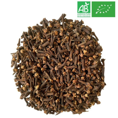 Clou de girofle Bio - entier - Grossiste - Herboristerie - Grossiste-Thé.com