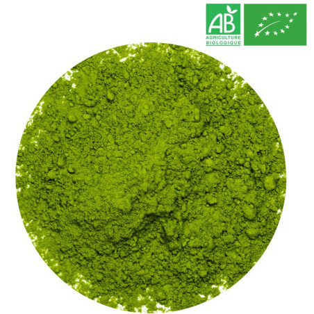Matcha Japon Bio - Grossiste Thé