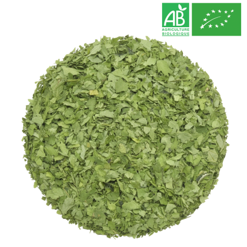 Persil feuille coupée Bio Grossiste Herboristerie Bio