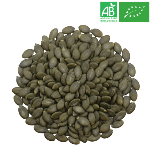 Graine de Courge Bio Grossiste Herboristerie Bio