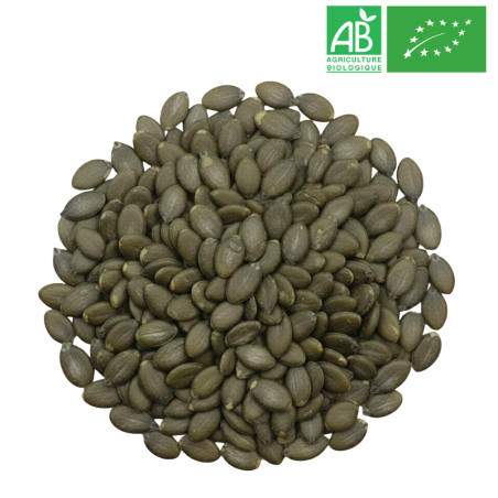 Graine de Courge Bio Grossiste Herboristerie Bio