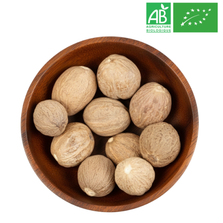 Noix de Muscade Entière Bio Grossiste Herboristerie Bio
