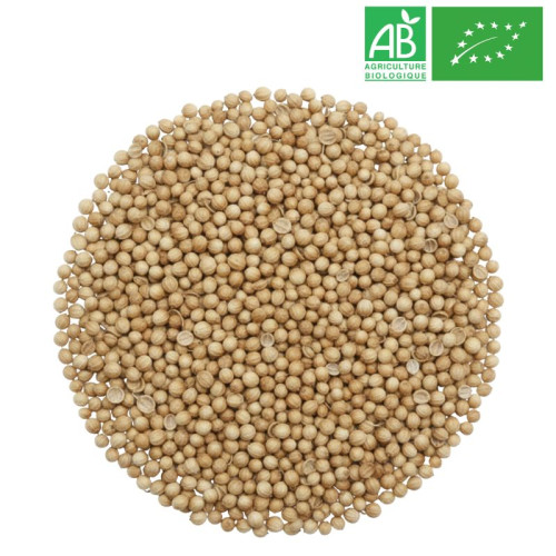 Graine de Coriandre en Vrac - Grossiste Herboristerie Bio