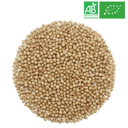 Graine de Coriandre en Vrac - Grossiste Herboristerie Bio