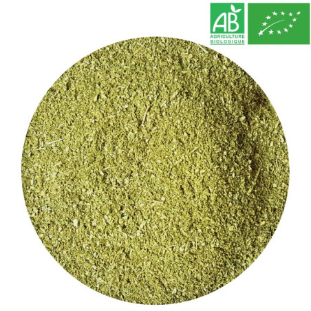 Moringa Poudre Bio Grossiste Herboristerie Bio