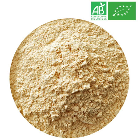 Maca Racine Poudre Bio Grossiste Herboristerie Bio