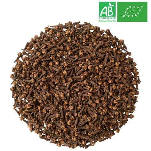 Clou de girofle Bio - entier - Grossiste - Herboristerie - Grossiste-Thé.com