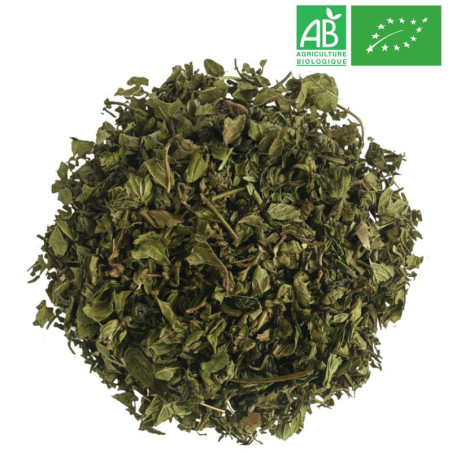 Thé à la Menthe Premium Grossiste Thé Vert Menthe Bio