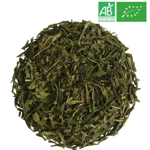 Thé Vert Sencha Grossiste Thé Vert Bio