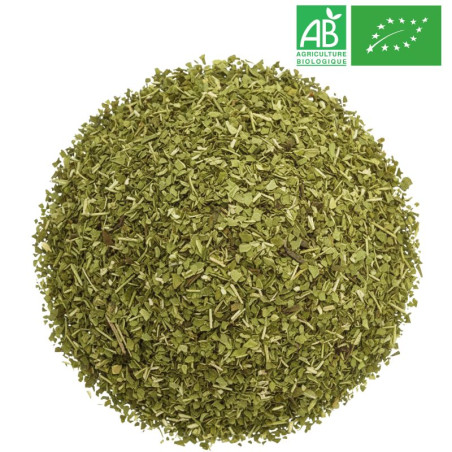 Maté vert Grossiste Yerba Maté Bio