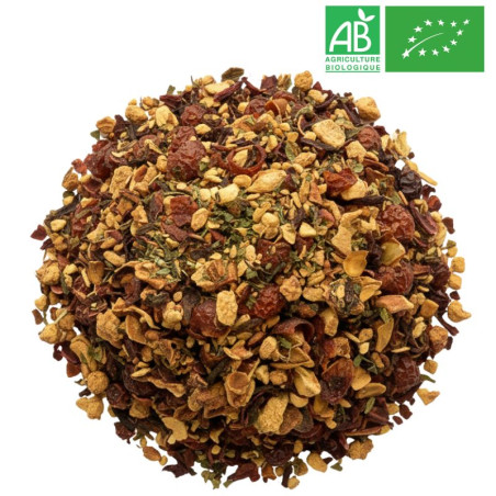 Infusion Citron Gingembre Grossiste Infusion Bio