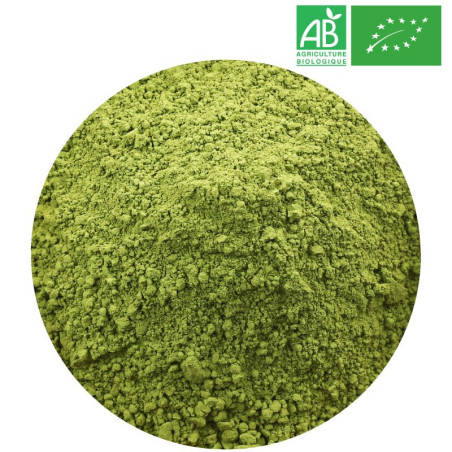 Matcha Bio Chine - Grossiste Thé Matcha