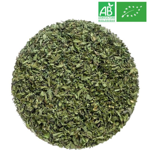 Menthe Verte Bio Grossiste Herboristerie Bio