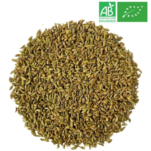 Fournisseur Anis Vert Bio - entier - Grossiste - Herboristerie - Grossiste-Thé.com