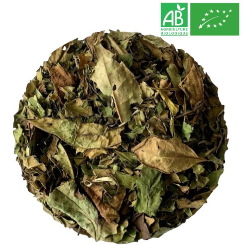Thé Blanc Pai Mu Tan Grossiste Thé Blanc Bio