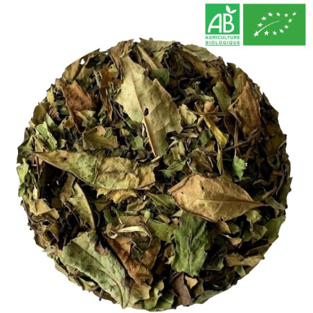 Thé Blanc Pai Mu Tan Grossiste Thé Blanc Bio