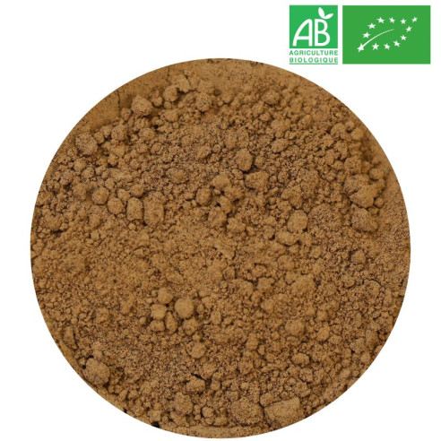 Guarana Poudre Bio Grossiste Herboristerie Bio