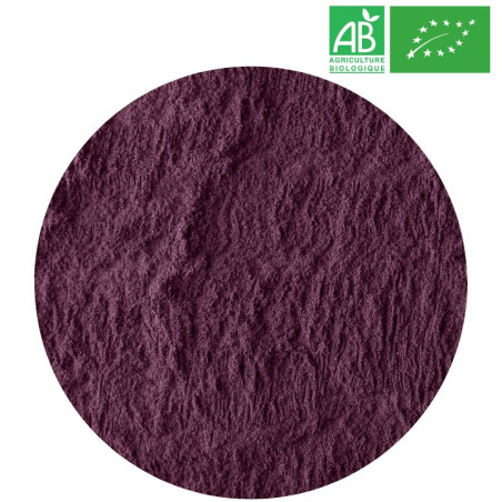 Açaï Poudre Bio Grossiste Herboristerie Bio