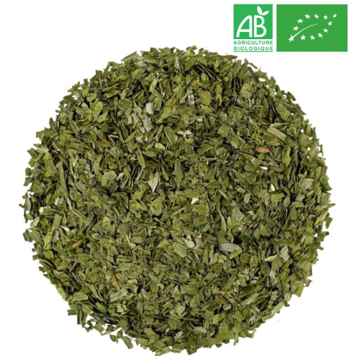 Fournisseur - Ciboulette Bio - Feuille  - Herboristerie - Grossiste-Thé.com