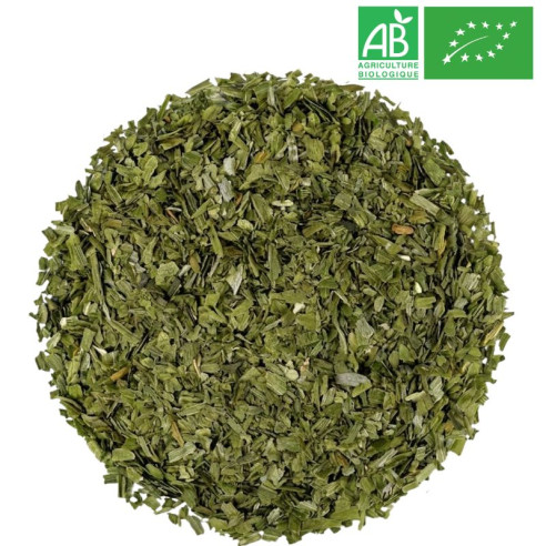 Fournisseur - Ciboulette Bio - Feuille  - Herboristerie - Grossiste-Thé.com