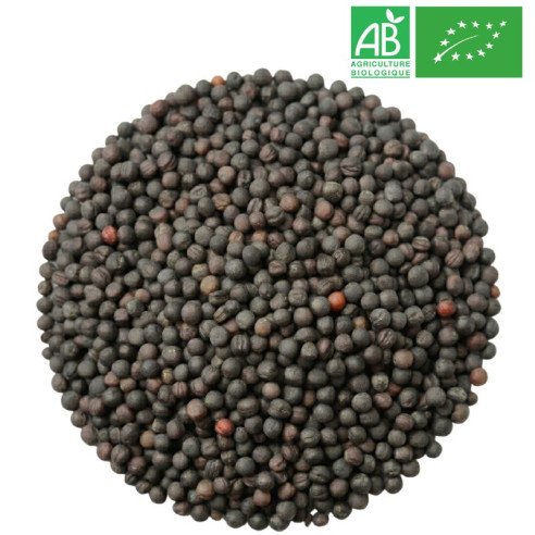 Graines de Moutarde Noire Bio Grossiste Herboristerie Bio