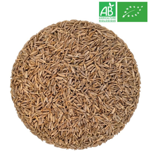 Graines de Cumin Bio Grossiste Herboristerie Bio