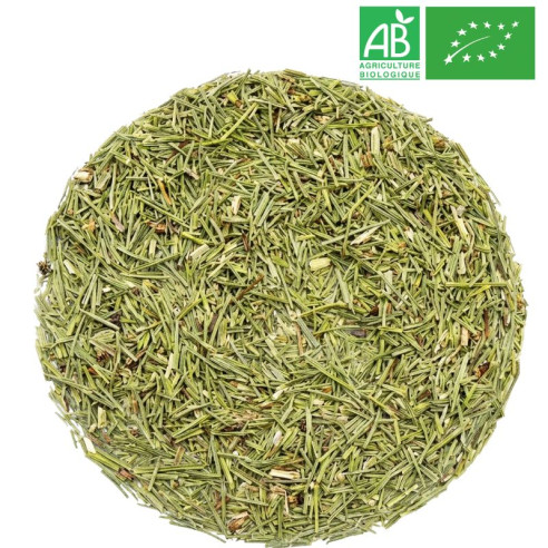 Fournisseur - Estragon Bio - Feuille entière - Herboristerie - Grossiste-Thé.com