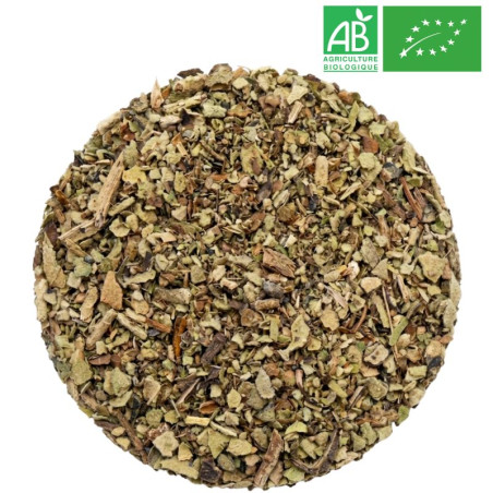 Fournisseur - Bouillon Blanc Bio - Feuille entière - Herboristerie - Grossiste-Thé.com