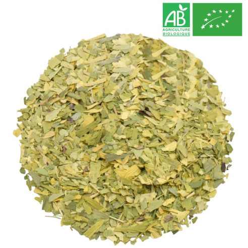 Fournisseur - Ginkgo Bio - Feuille coupée - Herboristerie - Grossiste-Thé.com