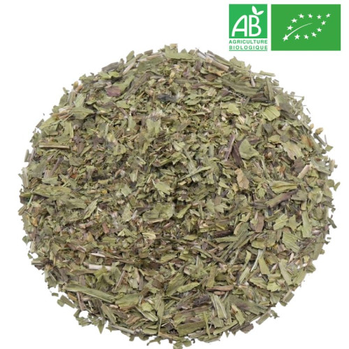 Fournisseur - Plantain Lancéolé Bio - Feuille entière - Herboristerie - Grossiste-Thé.com