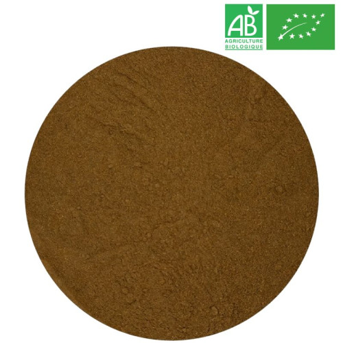 Ginkgo Feuille Poudre Bio Grossiste Herboristerie Bio