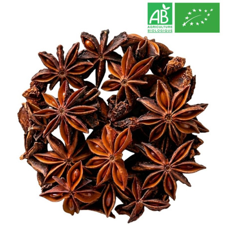 Badiane Bio - Anis Etoilée - Grossiste - Herboristerie - Grossiste-Thé.com