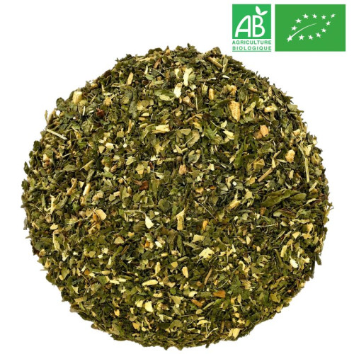 Active Boost Grossiste Thé Vert Détox - Fournisseur infusion