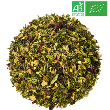 Thé Vert et Maté Citron Gingembre Grossiste Thé Noir et Maté Bio - Fournisseur Thé Bio