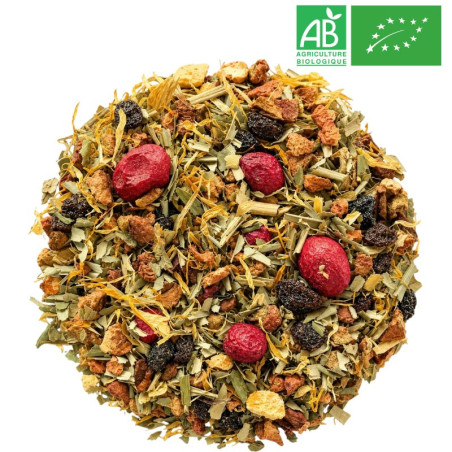 Infusion Glacée Canneberge Pêche Grossiste Thé Glacé Bio