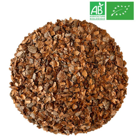 Cacao Bio - Cosse coupée -Grossiste - Herboristerie - Grossiste-Thé.com