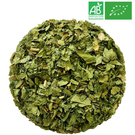 Feuille de Cassis Bio - Grossiste - Herboristerie - Grossiste-Thé.com