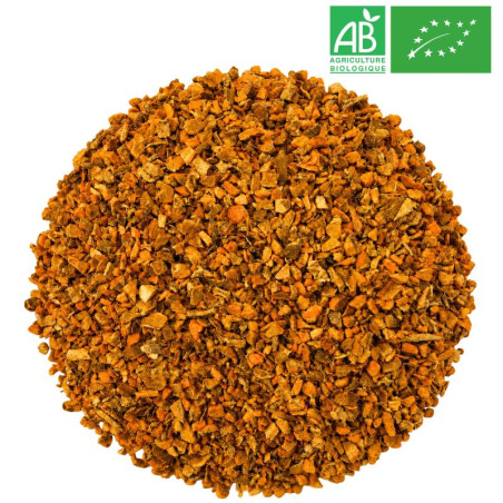 Curcuma Bio Vrac - Grossiste Epice