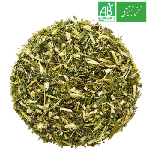 Echinacée Bio - Partie Aérienne - Grossiste - Herboristerie - Grossiste-Thé.com