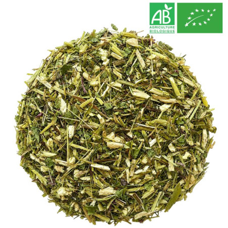 Echinacée Bio - Partie Aérienne - Grossiste - Herboristerie - Grossiste-Thé.com