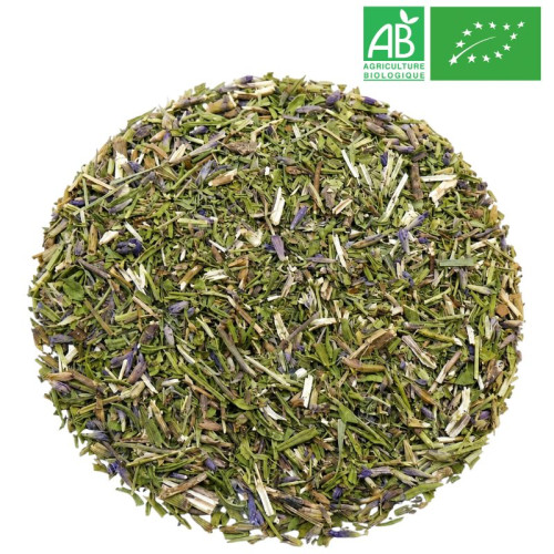 Hysope Bio - Grossiste-Thé.com - Partie aérienne en gros