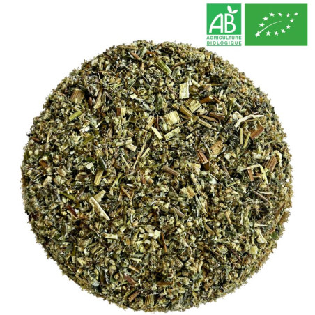 Armoise Bio - Grossiste - Herboristerie