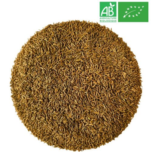 Carvi Bio - Fruit entier - Grossiste - Herboristerie - Grossiste-Thé.com