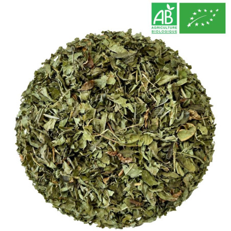 Verveine Coupée Bio Grossiste Herboristerie