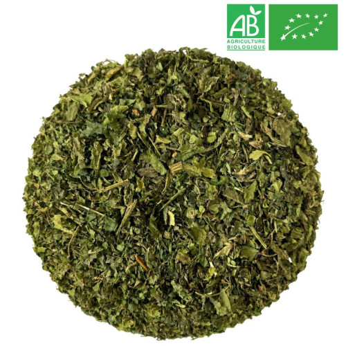 Fournisseur Ortie Bio - Feuille coupée - Grossiste - Herboristerie - Grossiste-Thé.com
