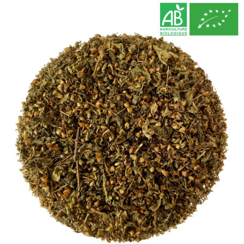Tulsi Bio - Feuille coupée -Grossiste - Herboristerie - Grossiste-Thé.com