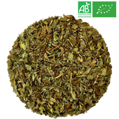 Basilic Bio - Feuille coupé -Grossiste - Herboristerie - Grossiste-Thé.com