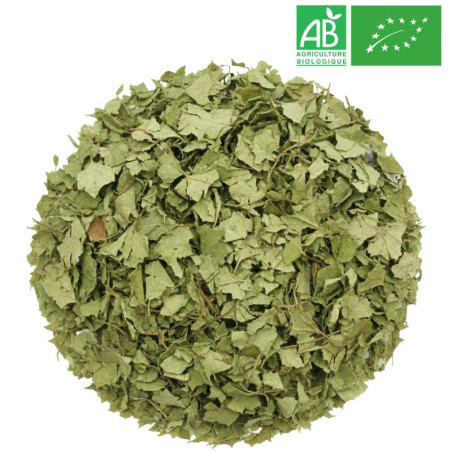 Feuille de Bouleau Coupée Bio Grossiste Herboristerie Bio